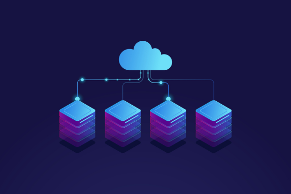 RISE with SAP Value Delivered